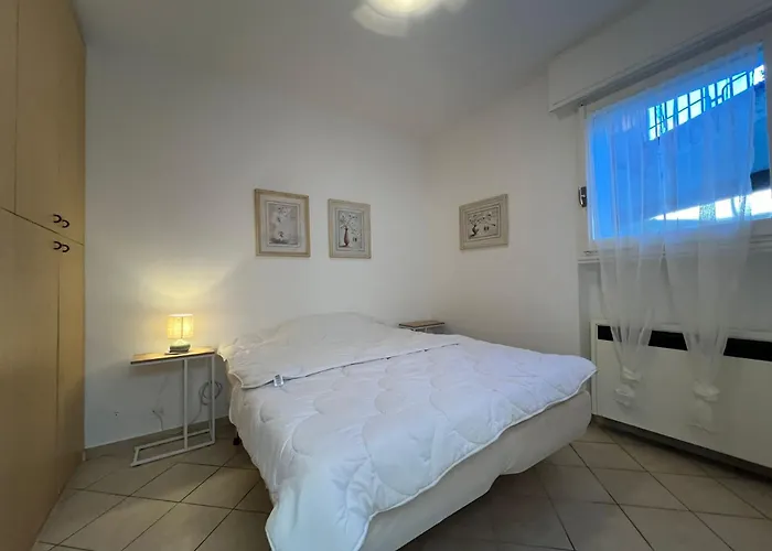 Bella Rosa غيفّا