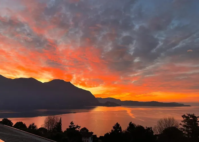 Bella Rosa غيفّا